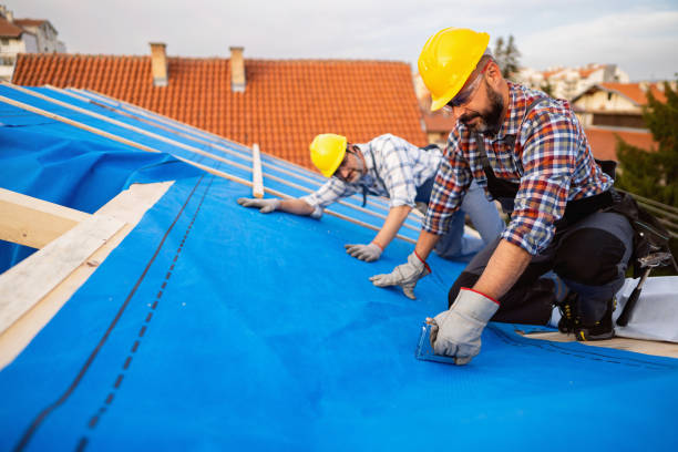 Best Roof Insulation Installation  in Waterville, NY